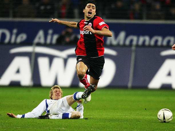 这为他赢得 这为他赢得